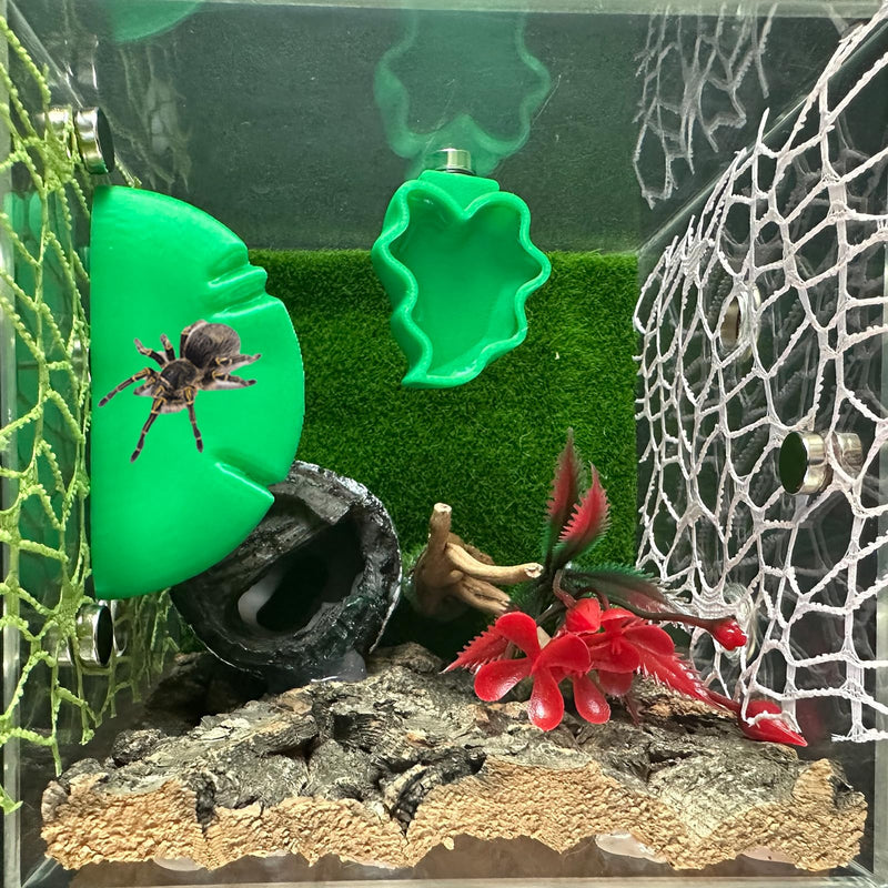 2 PCS Jumping Spider Feeding Dish, Leaf Shape Tiny Food Dishes Water Bowl with 1PC Tweezer and 1PC Dropper for Jumping Spider, Tarantula and Other Small Pets - PawsPlanet Australia