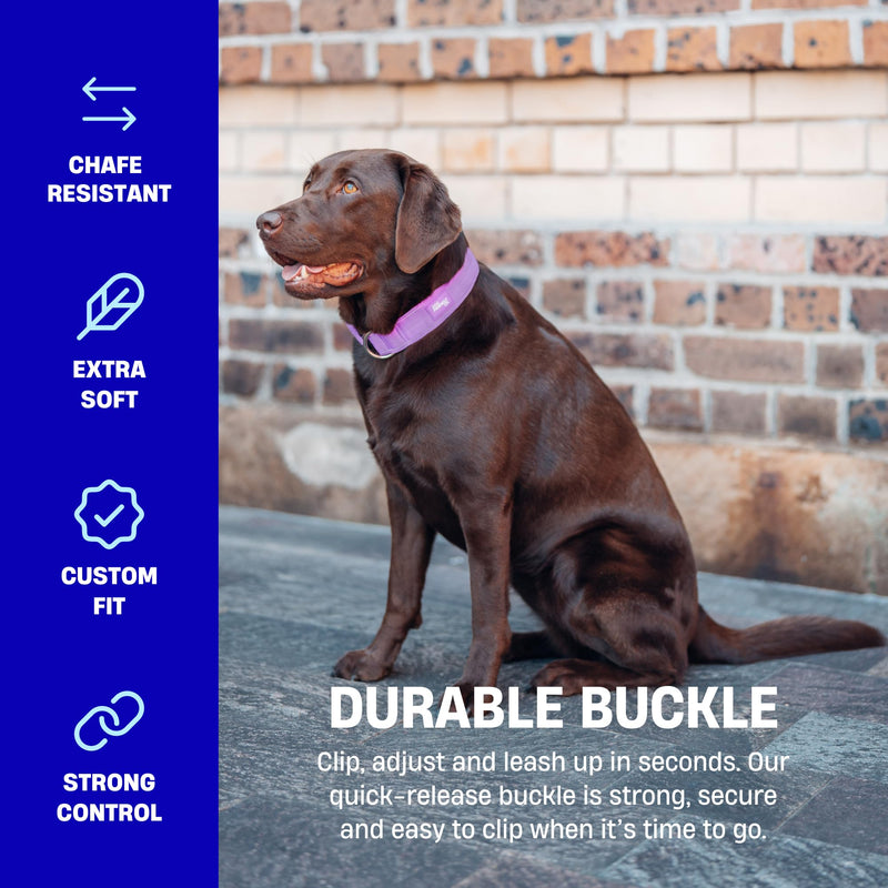 DF Co. Tactical Dog Collar | Comfortable & Secure with Quick Release Clip Buckle and Heavy Duty D-Ring | Soft Padded Neoprene, Chafe Resistant, Night-Time Visibility | Pink Camo, Size M Medium - PawsPlanet Australia