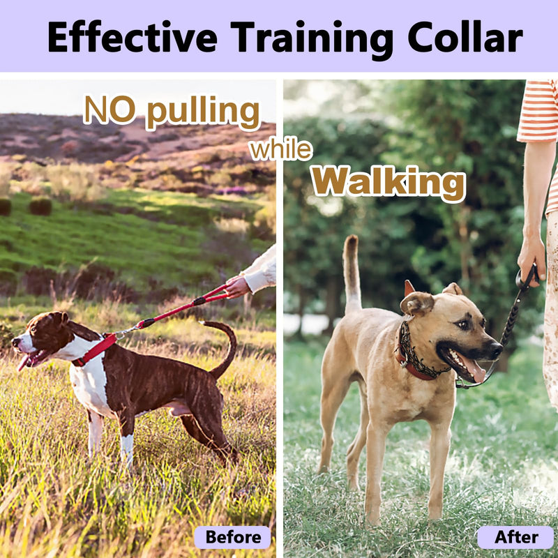 Adjustable Training Collars Anti Pull Dog Collar for Large Dogs 304 Stainless Steels Dog Collar with Quick Release Buckle and Comfort Rubber Tips(Black,XL-28inch) XL-28inch(For 24"-27" Neck) Black - PawsPlanet Australia