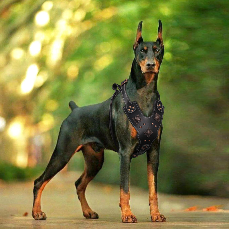 PET ARTIST Spiked Custom Studded Leather Dog Harness for Medium Large Dogs,Heavy Duty Vest with Adjustable Straps Soft for Big Dogs Boxer Pitbull Rottweiler Bull Mastiff Black XL Chest:26-37" - PawsPlanet Australia