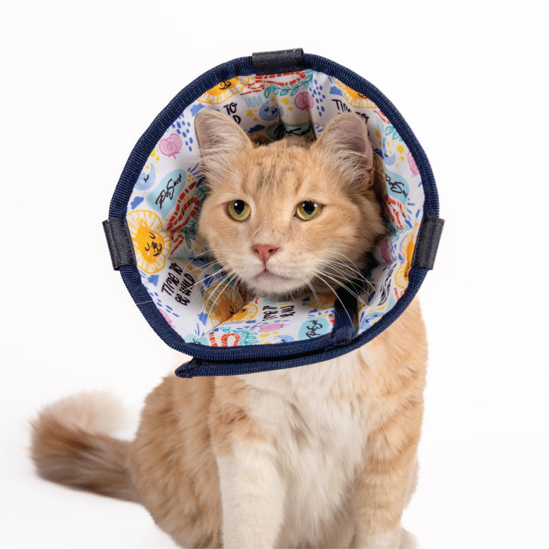Cat Cone Collar – Colorful Cat Pattern - Lightweight Recovery Cone for Cats, Anti-Lick & Anti-Scratch, Vet Recommended, Elizabethan Collar (Colorful, XXS Long [Neck Girth: 7.5"-10.3"]) XXS Long [Neck Girth: 7.5"-10.3"]