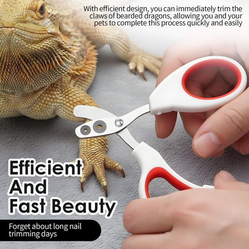 Stainless Steel Bearded Dragon Nail Clippers, Lizard Nail Clippers, Bearded Dragon Tank Accessories, Beardedd Dragons Accessories, Pet Nails Clipper for Small Reptiles,Turtle,Chameleon - PawsPlanet Australia