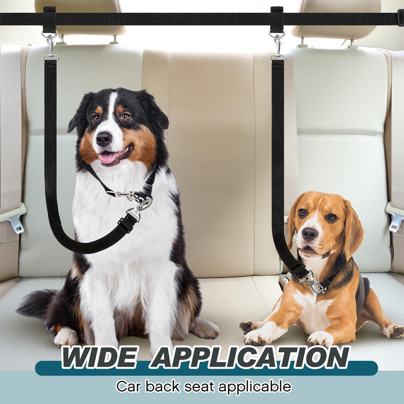 Truck Bed Dog Tether for Two Dogs Double Leash Tether Tie Down System Dog Car Harness Belt Heavy Duty Adjustable Double Safety Leash Canine Leash for Pickup SUV Truck Outdoor Bed Leash - PawsPlanet Australia