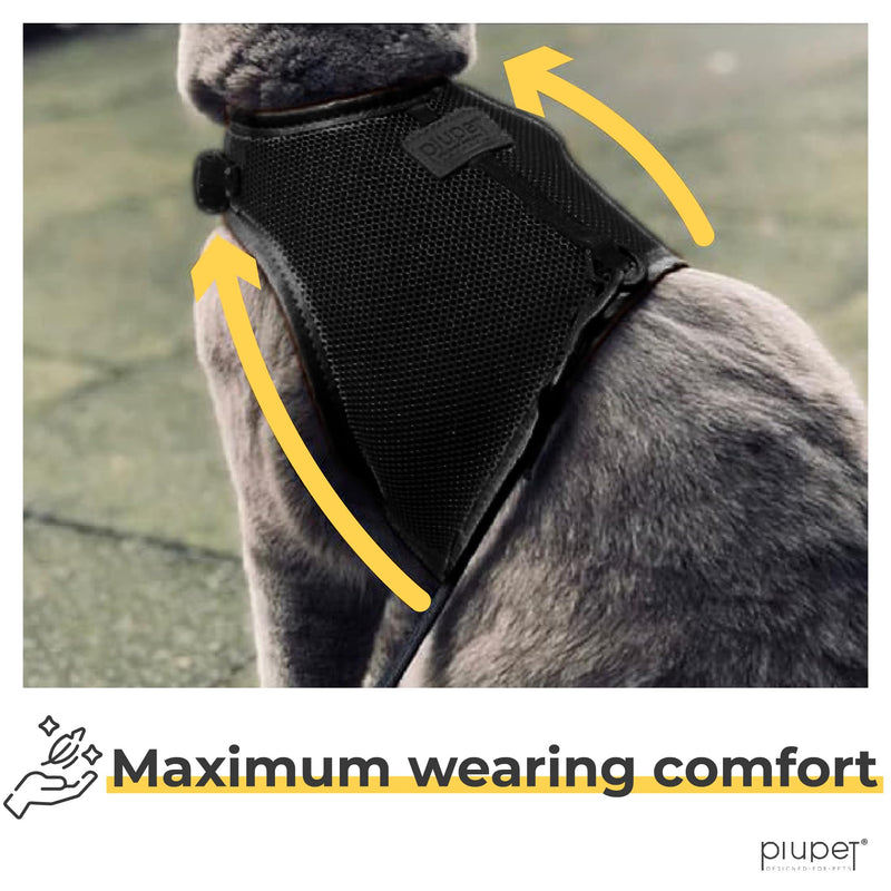 PiuPet® Cat Harness and lead set I 1,2m cat lead I Cat harness escape-proof I Robust Cat Collars | Cat Leash | Cat Harnesses | Cat Harness Escape Proof | Kitten Harness and Lead Set I Size S I Black Black S (neck circumf. 20-24cm, chest 36-40cm) - PawsPlanet Australia