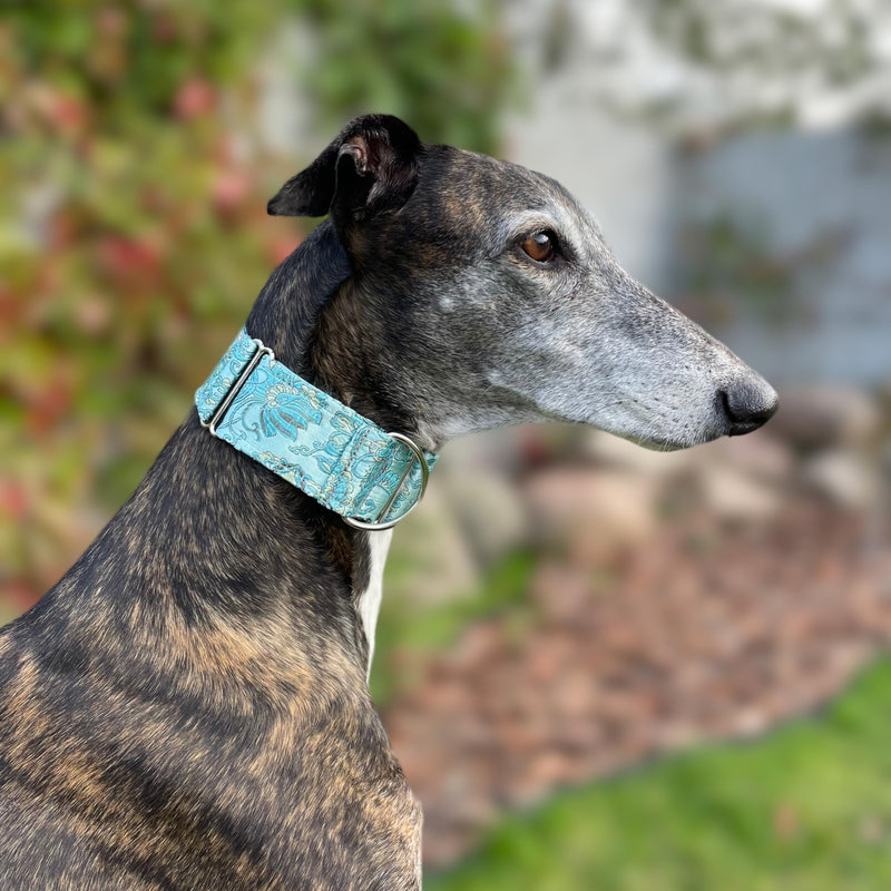Extra Soft Martingale Dog Collar for Greyhound Saluki Whippet and Other Breeds with Similar Neck 2" Wide (11"-14") Matching Leash Available M 11"-14"