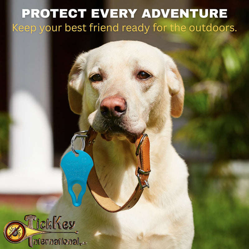 The Original Tick Key - Tick Detaching Device - Portable, Safe and Highly Effective Tick Detaching Tool (Blue) Blue