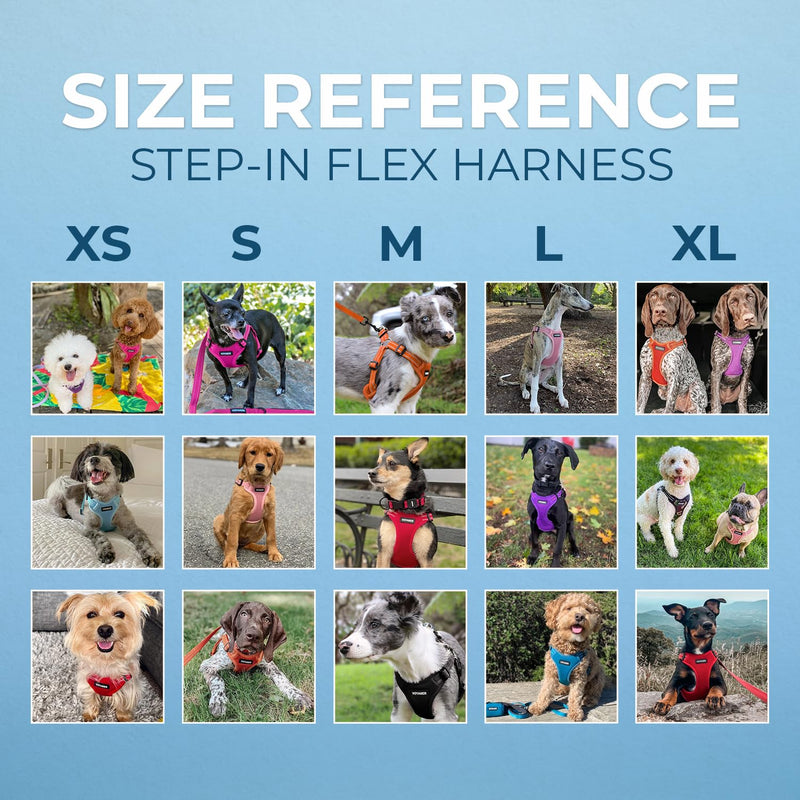 Best Pet Supplies Voyager Adjustable Step-in Flex Breathable Mesh Dog Harness for Small Medium Large Dogs Leash Set (Turquoise), M Harness Leash Set (Turquoise)