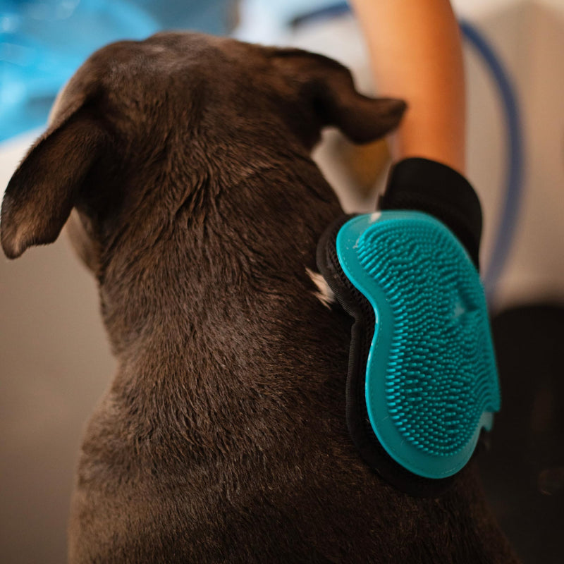 Messy Mutts Reversible Silicone Pet Grooming Glove | Gentle Massage, Brush, Bath and Dog Hair Removal Mitt | One Size Fits All | Blue - PawsPlanet Australia