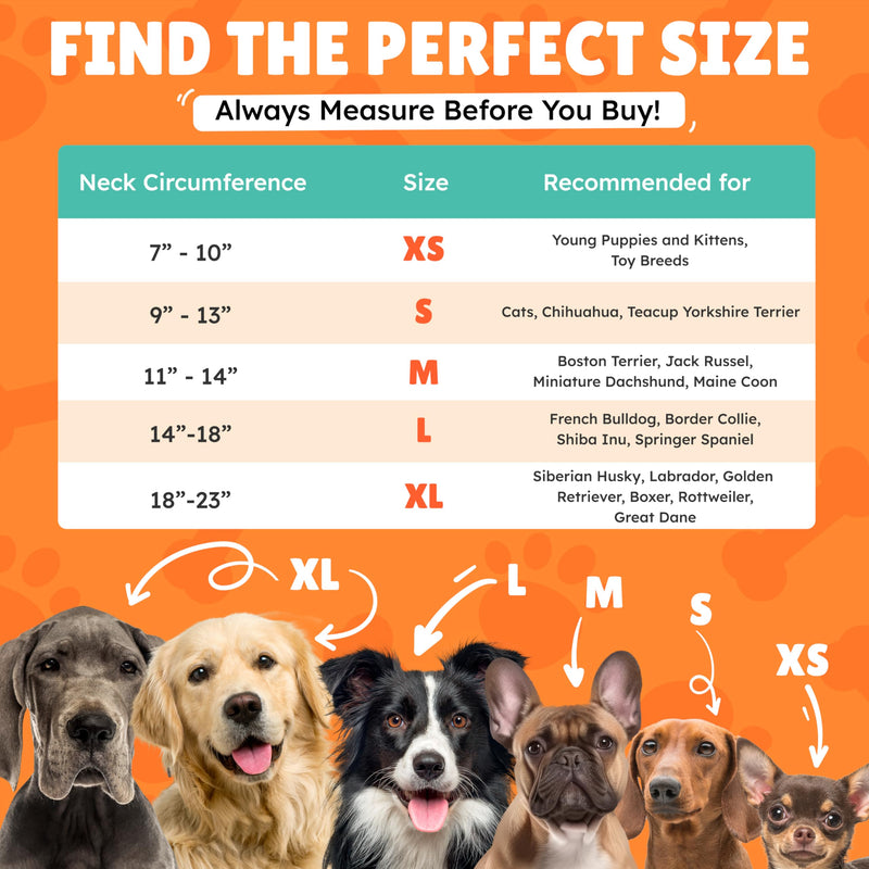 XL Large Dog Donut Collar - Inflatable Dog Cone Alternative for After Surgery Recovery. Donut Dog Cones for Large Dogs. Inflatable Dog Collars for After Surgery Donut Cone for Dogs XL Soft Cone XL(Neck 18"-25") - PawsPlanet Australia
