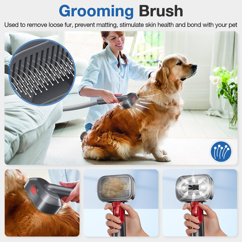 Pet Dog Grooming Attachment Kit Compatible with Dyson V7 V8 V10 V11 V12 V15 Vacuums (Not for V6), Dog Deshedding Brush Attachment for Shedding Grooming, Hair Grooming Tools for Dog and Cat, 6 Pack - PawsPlanet Australia
