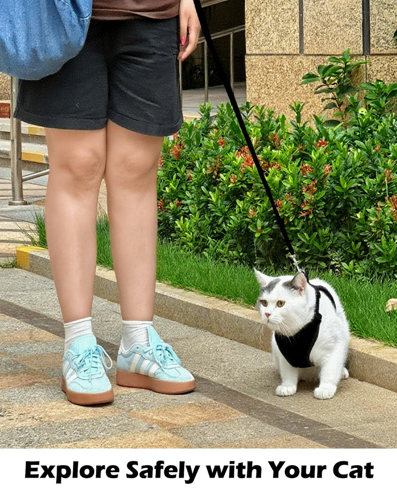 Luxelle 2 Pack Escape-Proof Cat Harness and Leash Set for Walking – Adjustable No Pull Soft Vest with Easy-Wear Buckle, Reflective Straps, Breathable Mesh – Outdoor Travel Harness for Cats & Kittens Black XS - PawsPlanet Australia