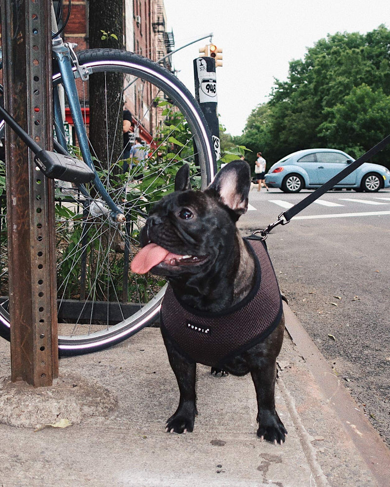 Puppia Soft Harness, S, Brown