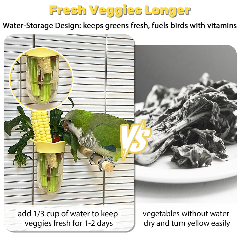 2Pcs Bird Cage Feeder for Vegetable, Parrot Veggies Holder with Water-Storage Design to Keep Greens Fresh, No Mess Hanging Millet Feeder for Parakeet, Quick Clean Clip, No Spill Feeders for Parrots - PawsPlanet Australia