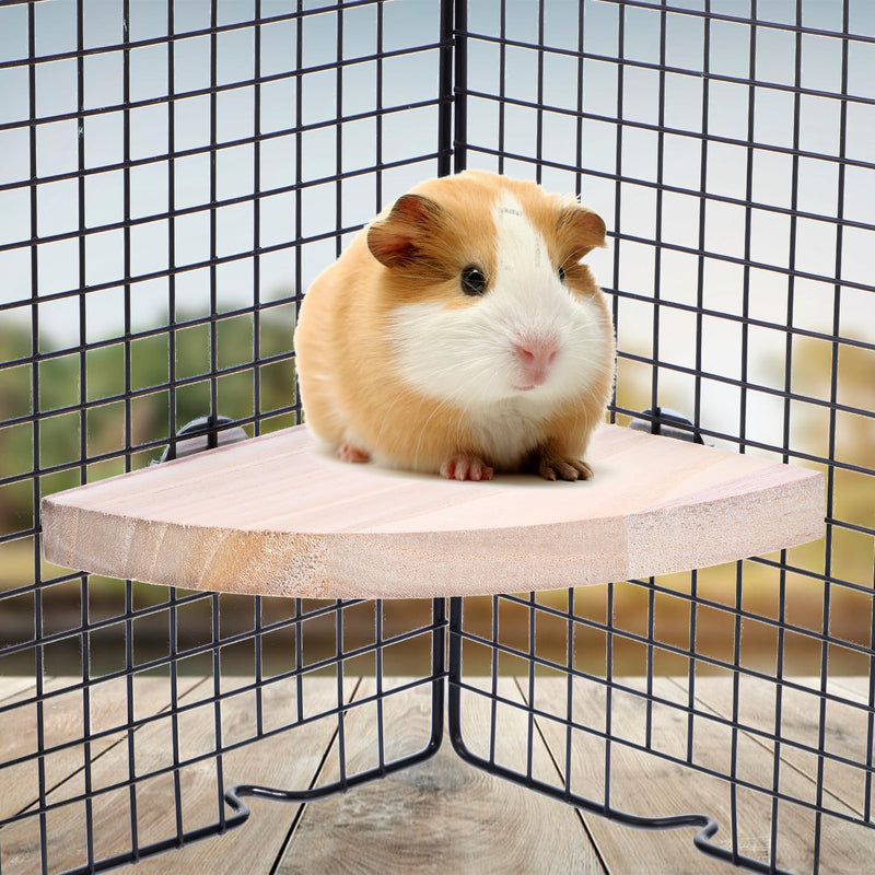Bird Perch Stand, Wooden Platform for Parrots, Canaries, Cockatiels, Finches, Budgies, Lovebirds, Hamsters, Guinea Pigs, Chinchillas - PawsPlanet Australia