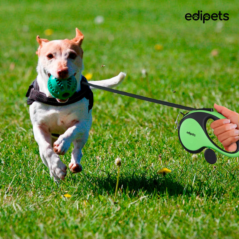 Edipets, Retractable Dog Leash, 5 Meters, Includes Bag Dispenser, Flexible Tape for Training and Walking, for Small, Medium and Large Dogs (Green, 5 Meters) Green/Grey 8 metres