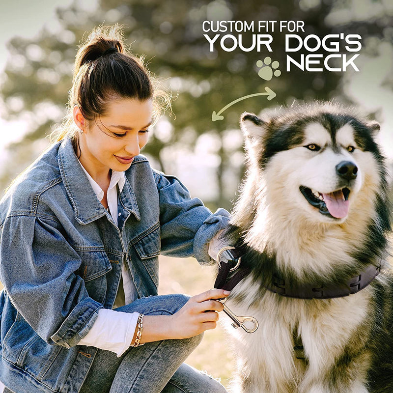 Ram-Pro Dog Training Collar Small Pinch Collar for Dogs Triple Crown Pro Training Collar Large Gentle Effective Control in a No Barking Control Dog Collar for All Breeds