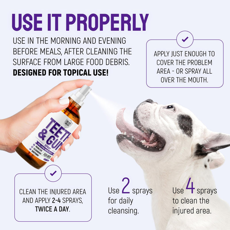 SILVER GRADE Teeth & Gum Dog Breath Spray for Pets Mouth – Cat Dental Care with Silver – Dog Breath Freshener Helps with Tartar & Caries – Plaque Remover for Daily Use – 4 Oz 4 Fl Oz (Pack of 1) - PawsPlanet Australia