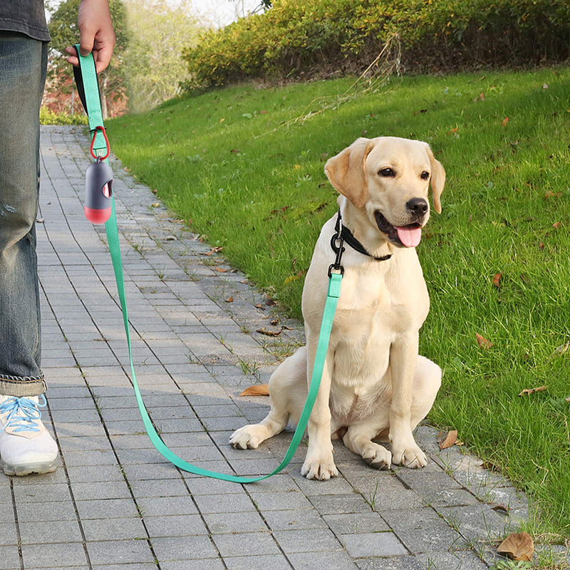 VIVAGLORY Dog Leash Dailyx Pet Leash with Soft Padded Handle for Training & Walking, Heavy Duty & Double Layer Nylon for Pet Puppy, 5ft x 1in, Green Leash (5 ft. x 1 in.)