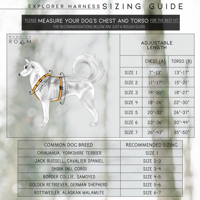 Premium Explorer Harness - Y-Shaped Dog Harness with Adjustable Durable Nylon, Soft Padding, Metal Buckles and Leather Handle for Small, Medium, Large Dogs (New York Afterlight, Size 4) New York Afterlight - PawsPlanet Australia