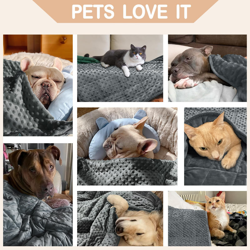 YUSRA Small Weighted Blanket for Dogs, Warm Minky Dog Blanket Especially for Thunderstorms, Fireworks, Separation, Travel, Bed and Couch, Machine Washable, Soft Dog Blanket (Grey, 24 * 32inch 2lbs) 24*32inch 2lbs Grey - PawsPlanet Australia