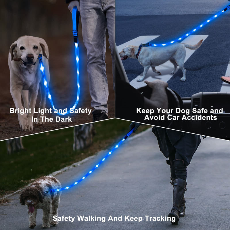 Led Light Up Dog Leash - 4 Ft Rechargeable Waterproof Nylon Reflective With Padded Handle for Night Walking, Safety Glow in The Dark for Large Medium Small Pets Blue - PawsPlanet Australia