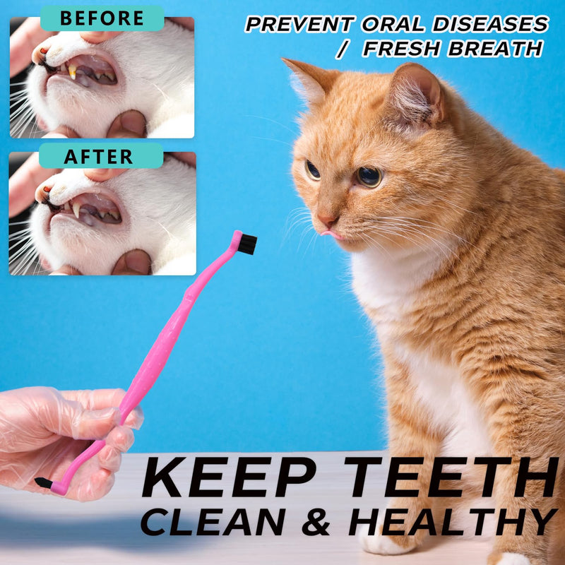 Dual Sided cat Toothbrush, Finger Toothbrush with Micro Head for Small to Large Dogs & Cats (Black, Small Round) - PawsPlanet Australia