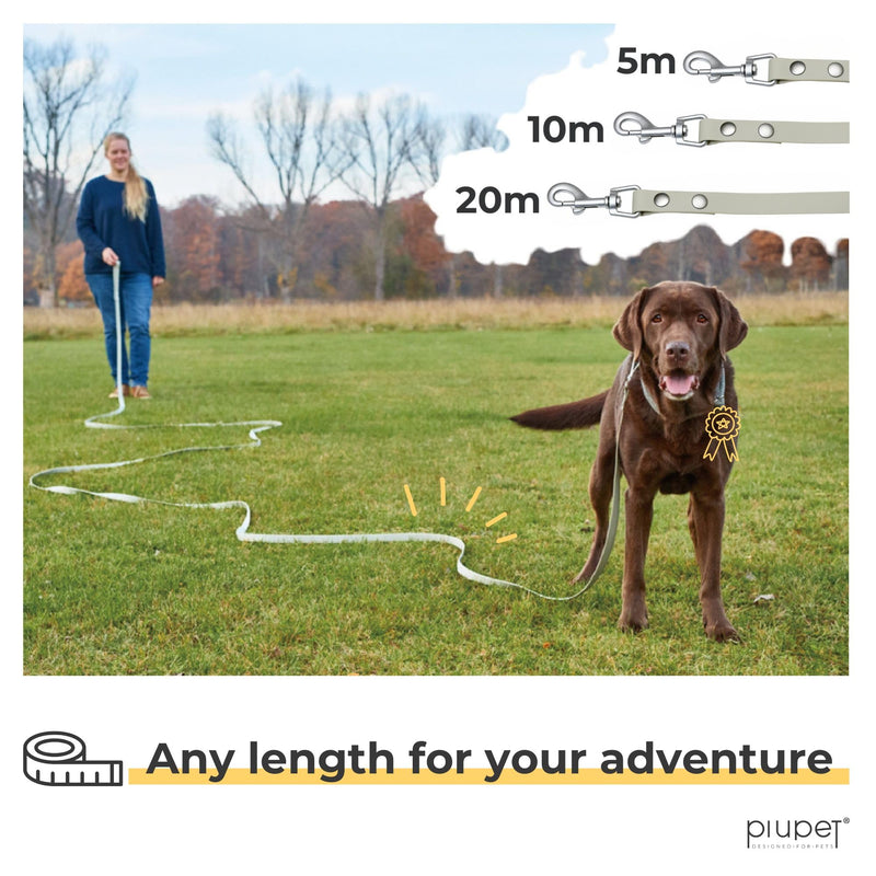 PiuPet® Tow Leash for Dogs 5m I 10m I 20m I Water Repellent I Dog Training Leads for Large Dogs I Long Dog Leads I Training Dog Lead I Dog Lead Long | Training Lead for Dogs | Grey - PawsPlanet Australia