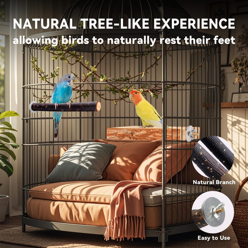 Bird Toys Parakeet Perch Budgie Perch Wood Stand Fork Toys Multi-Branch Perch Platform Toy for Small Conures,Cockatiel,Parrotlet,Lovebird,Parrot,Finches - PawsPlanet Australia
