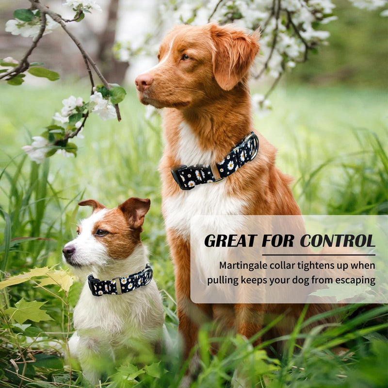 Hikiko Martingale Collar for Dogs with Buckle for Small Medium Large Dogs Soft Nylon Daisy Dog Collars Walking Training?Pure Daisy,Medium? Pure Daisy - PawsPlanet Australia