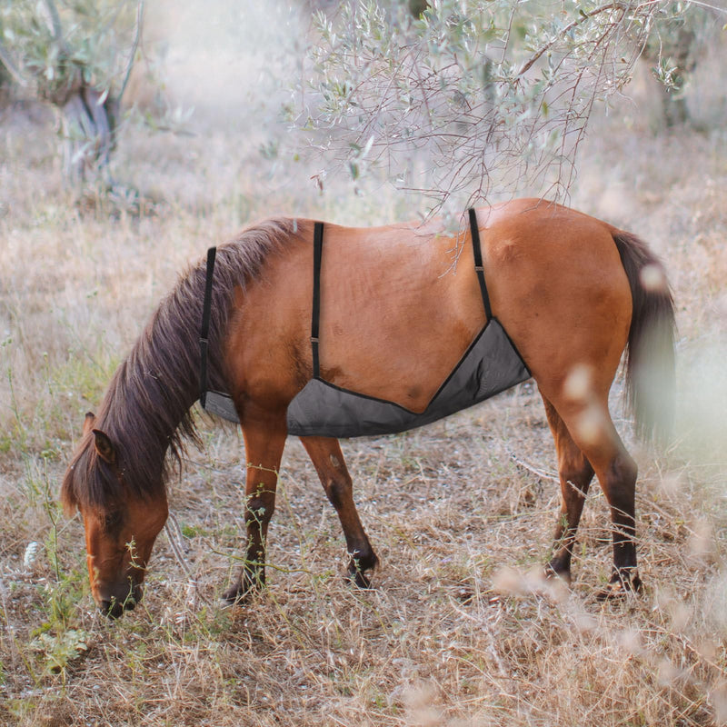 Totority Comfort Mesh Horsefly Sheet Flight Mesh net Horse Abdomen Protective Cover Apron Equestrian Supplies Adjustable Protective Cover Aquarium Bottom Grid Magna Guard for Horses Grille Breathable - PawsPlanet Australia