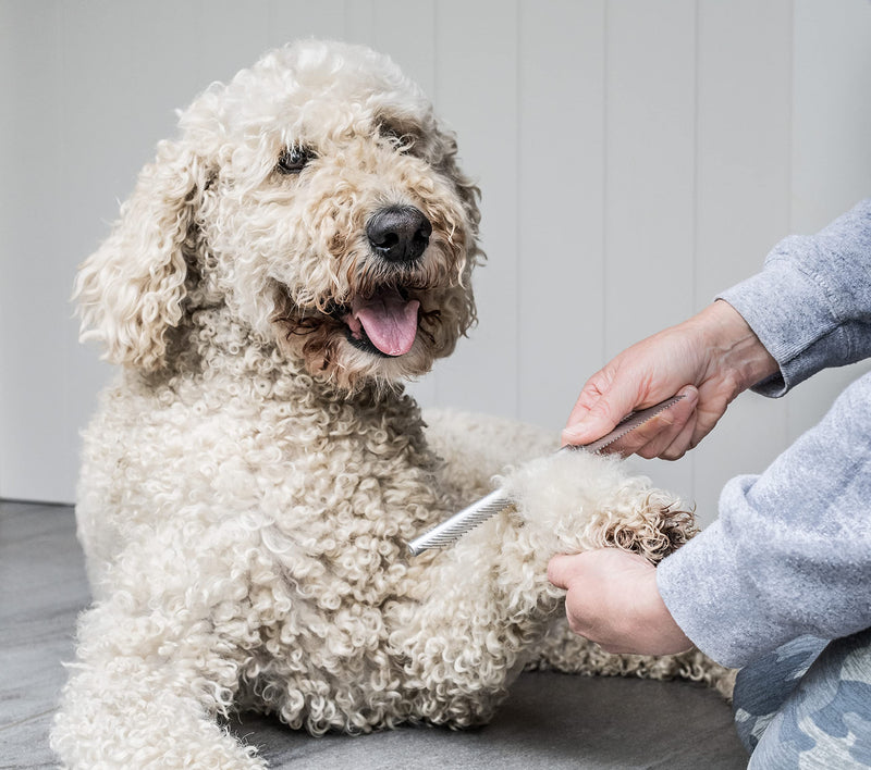 Mikki Dog Puppy Stainless Steel Comb and Hard Pin Slicker Brush, for Cockapoos, Labradoodles, Cavapoos and Golden Doodles - Starter Set 2pcs, Blue, Grey,Small Grooming Kit - PawsPlanet Australia