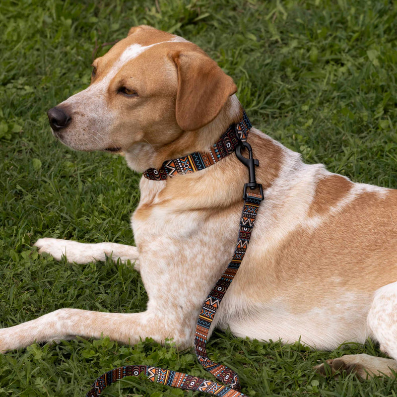 CollarDirect Aztec Dog Leash Nylon Tribal Pattern Cat Pet Leashes for Small Medium Large Dogs Puppy Lead 5 FT Long for Walking (Aztec Sunset, L, New) Aztec Sunset (New) - PawsPlanet Australia