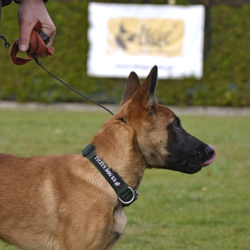 Dingo Gear Choke Collar for Dog Training Handmade of Cord with A Limiter, Waterproof Black S04059, (L) 1 LIMITER L