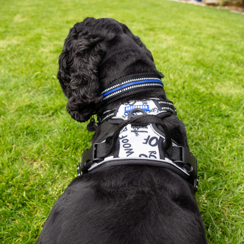 Battersea Dog Harness M - PawsPlanet Australia