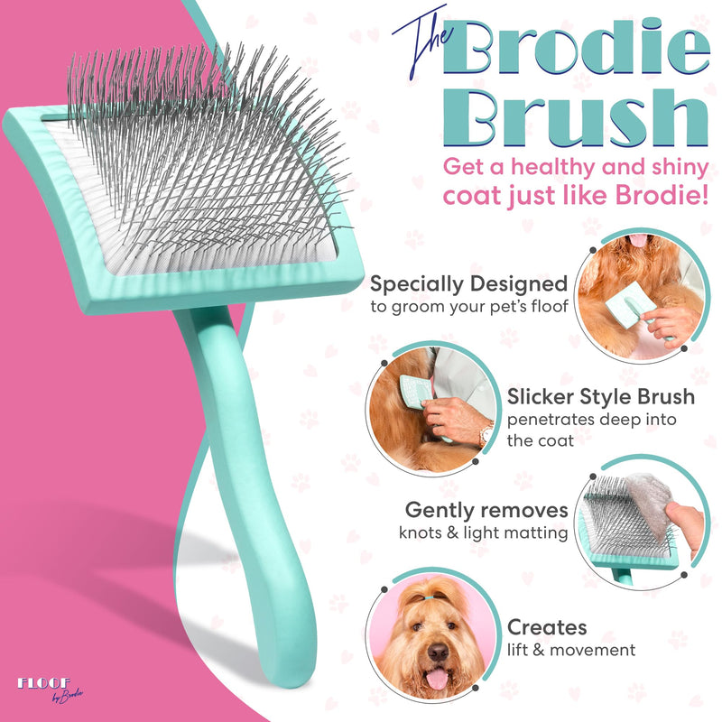 Brodie Dog Brush - Slicker Brush for Dogs - Dog Brush for Shedding and Grooming - Best Dog Brush for Long Haired Dogs and Pets - PawsPlanet Australia