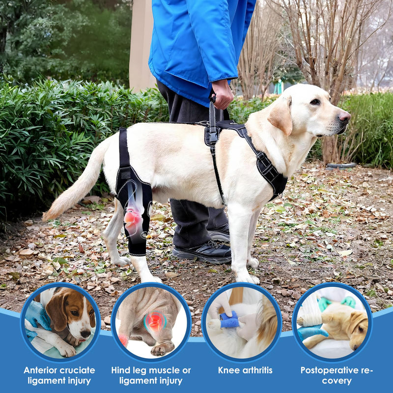 Dog Knee Brace for Hind Leg, Dog Hind Leg Support Protector for Torn ACL Injuries, Keeps Joints Warm and Stable, Cruciate Ligament Support for Injured Dogs, XL