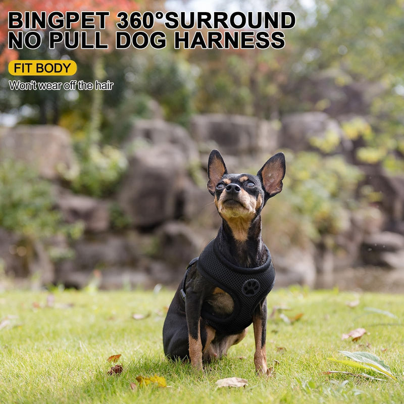 BINGPET Small Dog Harness - Breathable Mesh Puppy Cat Harnesses - No Pull Adjustable Dog Harness Dog Vest Harness for Small and Medium Dogs Black - PawsPlanet Australia