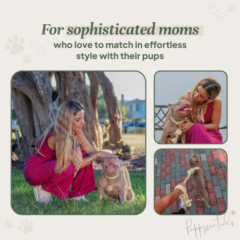 Braided Cotton Rope Dog Leash for Medium & Large Dogs – Enjoy Tangle-Free Walks with Soft Comfortable Grip & Reliable Control – Durable for Daily Walks, Training & Special Moments - Warm Cream - PawsPlanet Australia