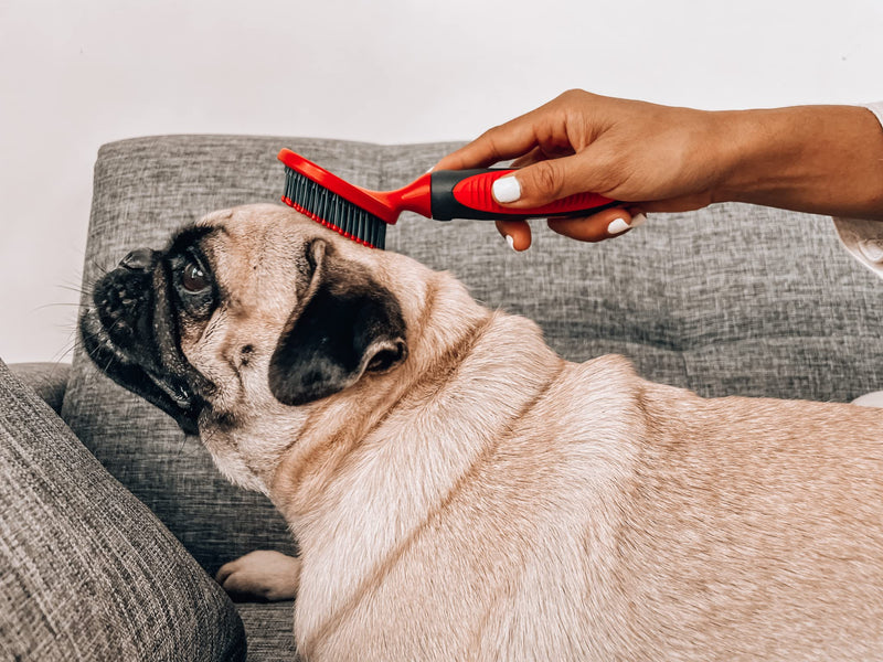 Tuff Pupper Round Bristle Soft Brush for Dogs and Cats | Gentle Grooming for Short or Long Hair | Soft Pin Tool for Sensitive Skin | Detangle & Remove Loose Fur | For Dematting & Detangling Undercoat Soft Bristle Brush - PawsPlanet Australia