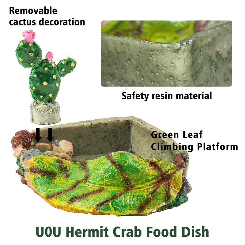 U0U Hermit Crab Food Dish,Resin Hermit Crab Food and Water Bowl,Hermit Crabs Water Bowl with Climbing Ramp and Hermit Crabs Accessories Decor (Green) Green - PawsPlanet Australia