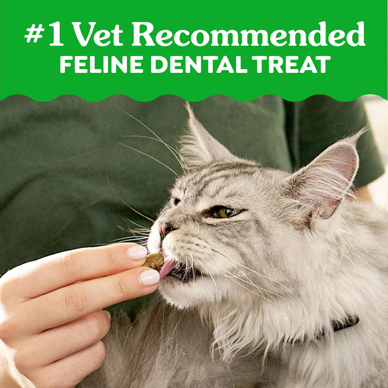 Greenies Cat Treats, Veterinarian-Recommended Adult Natural Dental Cat Treats, Tempting Tuna Flavor, 21 oz. Tub 1.31 Pound (Pack of 1) - PawsPlanet Australia