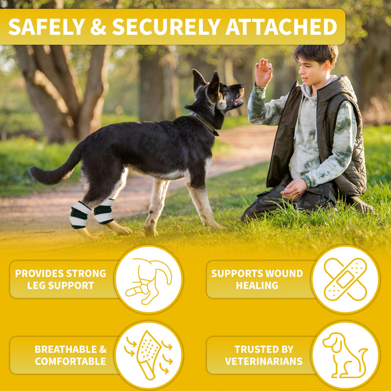 AGON® Dog Rear Brace Pair Hock Joint Brace with Metal Strings and Reflective Wraps Compression Straps Canine Back Leg Protects Wounds. Heals Prevents Injuries Sprains Loss of Stability by Arthritis Medium - PawsPlanet Australia