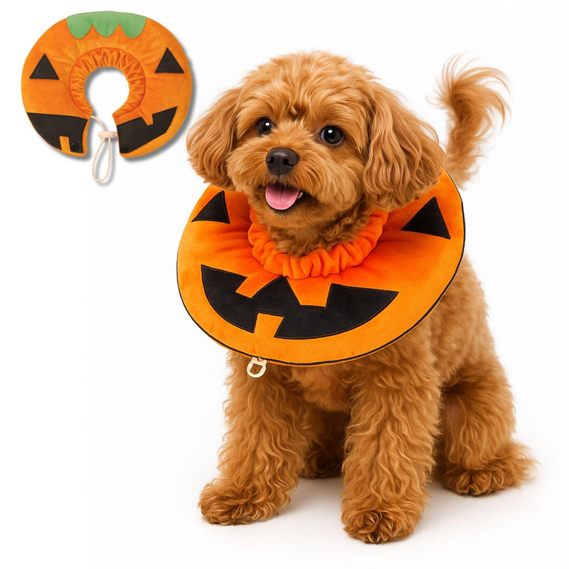 Pumpkin Style Soft Recovery Collar for Cats and Puppies - Comfortable & Adjustable | Washable (Orange Pumpkin, Medium) Orange Pumpkin