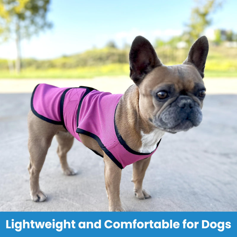 Dog Cooling Vest – Lightweight Evaporative Shirt with UV Protection for Small, Medium, and Large Dogs – Breathable Soft Fabric for Hot Weather (M, Rose Pink) - PawsPlanet Australia