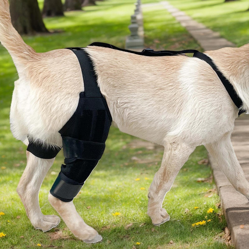 Generic knee brace for dogs | Jumping brace | Rear support | Non-slip knee brace with adjustable strap, soft protection for restoring mobility