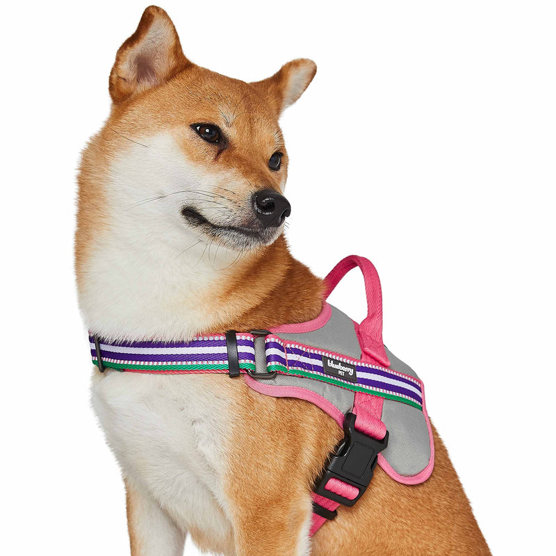 Blueberry Pet Pink Dog Harness - Award Winning Medium Sized No Pull Dog Harness with Handle, Reflective Vest for Safety-Conscious Urban & Outdoor Enthusiasts, 3M Night Visibility Emerald,Orchid and Pink - PawsPlanet Australia