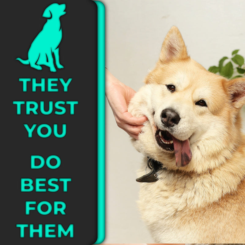 H&H Pets Dog Toothbrush Dual Headed Design Dental Toothbrushes for Small & Large Dogs, 4 or 8 Counts Pack 8 Count (Pack of 1) - PawsPlanet Australia