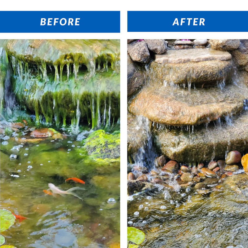 CrystalClear Algae D-Solv Pond Algae Control, Fast-Acting EPA Registered Algaecide, Use in Fountains & Outdoor Ponds Containing Koi & Other Fish, Treats 5,760 Gallons, 16 Ounces - PawsPlanet Australia