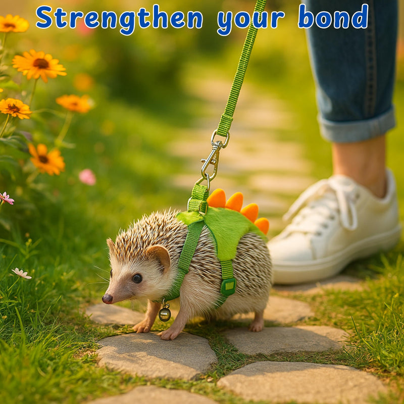 Hedgehog Leash and Harness Clothes Accessories, Dinosaur Shaped Harness Leash for Training Playing, Hamster Clothes for Ferret Guinea Pig Hamster, Hedgehog Accessories, Guinea Pig Outfits (Green) Green - PawsPlanet Australia