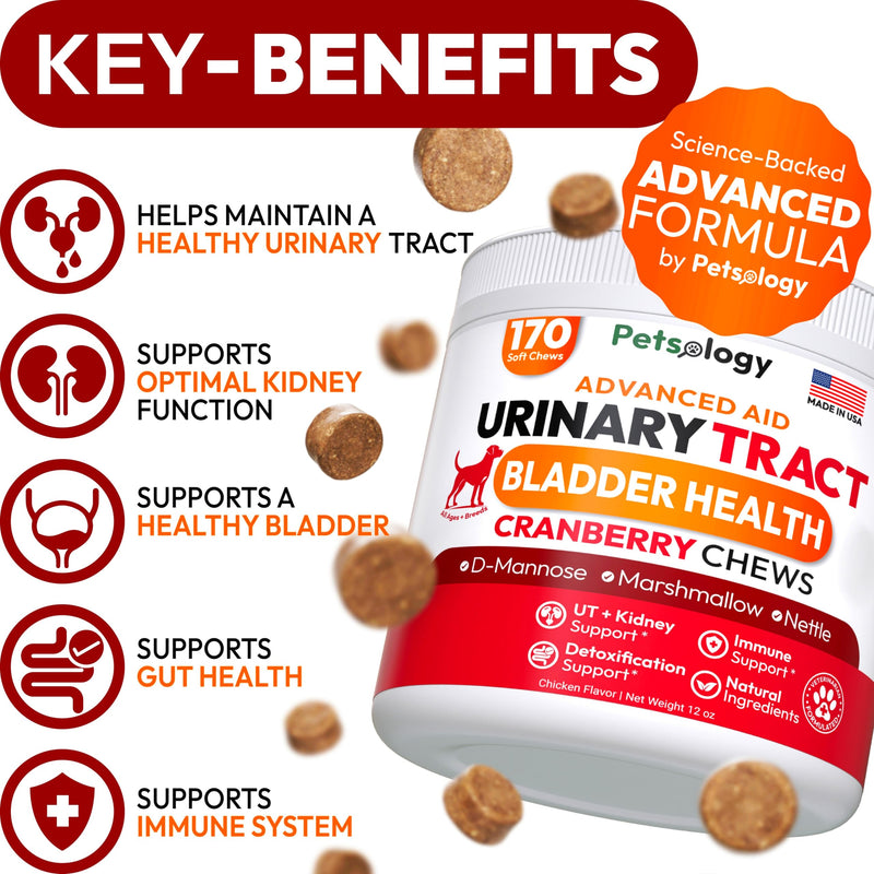 Dog UTI Treatment - 170 Cranberry Chews for Dogs - Urinary Tract Infection, Bladder & Kidney Health Multivitamin - Cranberry Supplement for Dogs with D-Mannose - Dog Vitamins and Supplements Chicken Cranberry Urinary Support - 170 Chews - PawsPlanet Australia
